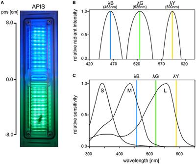 Aversive Learning of Colored Lights in Walking Honeybees